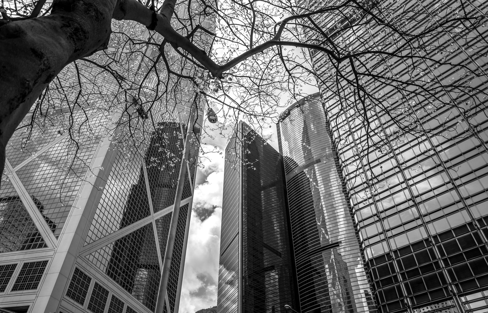 Estructura financiera